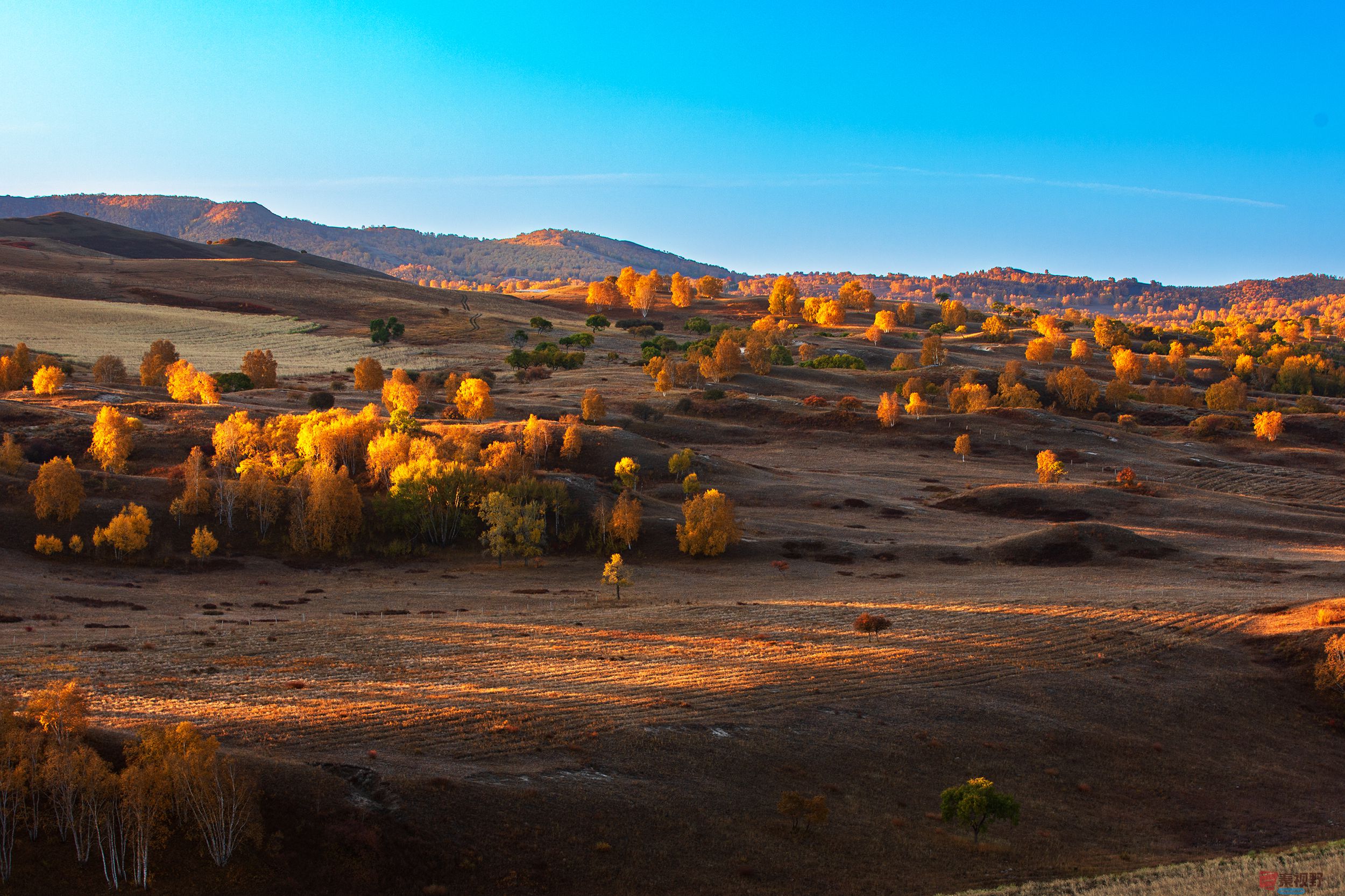 陈辉_20251013204126_2111_463 (2).jpg