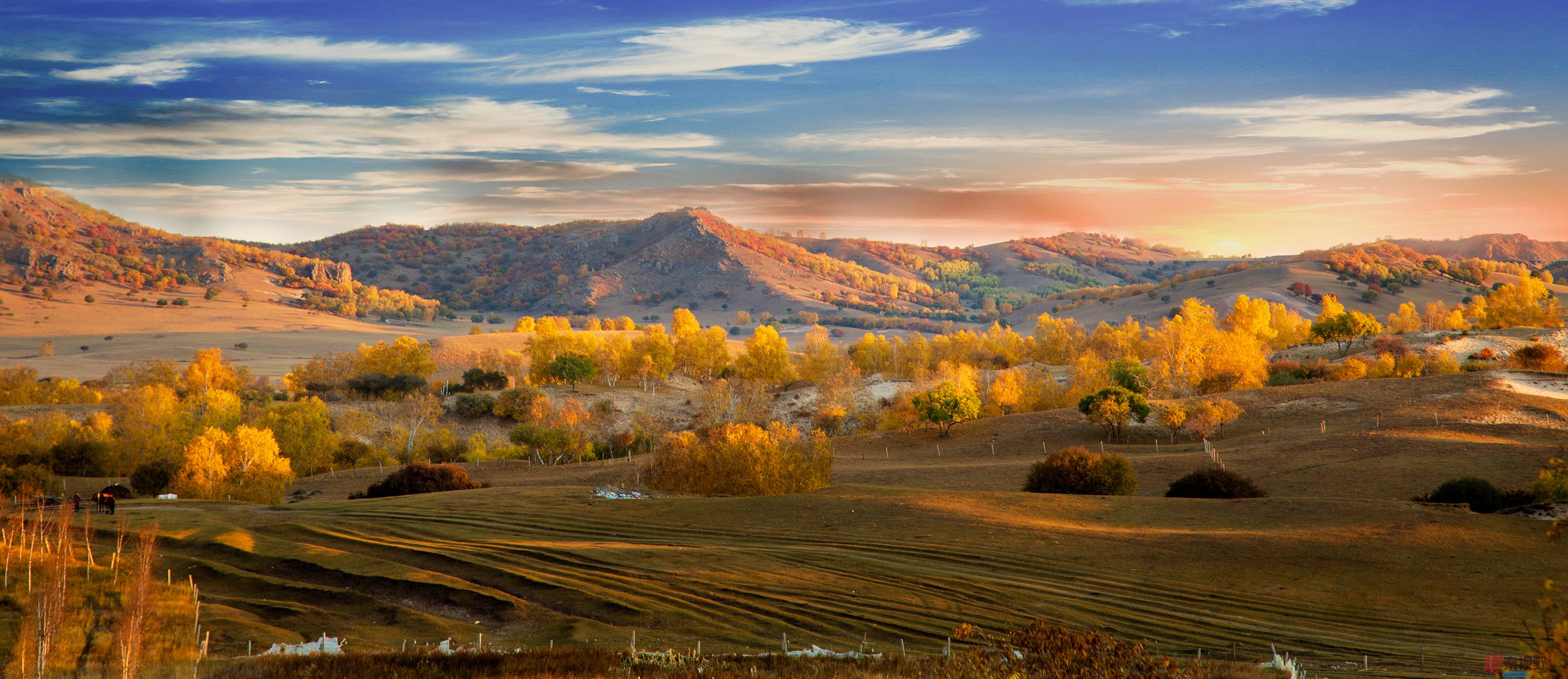 陈辉_20251013204126_2111_463 (3).jpg