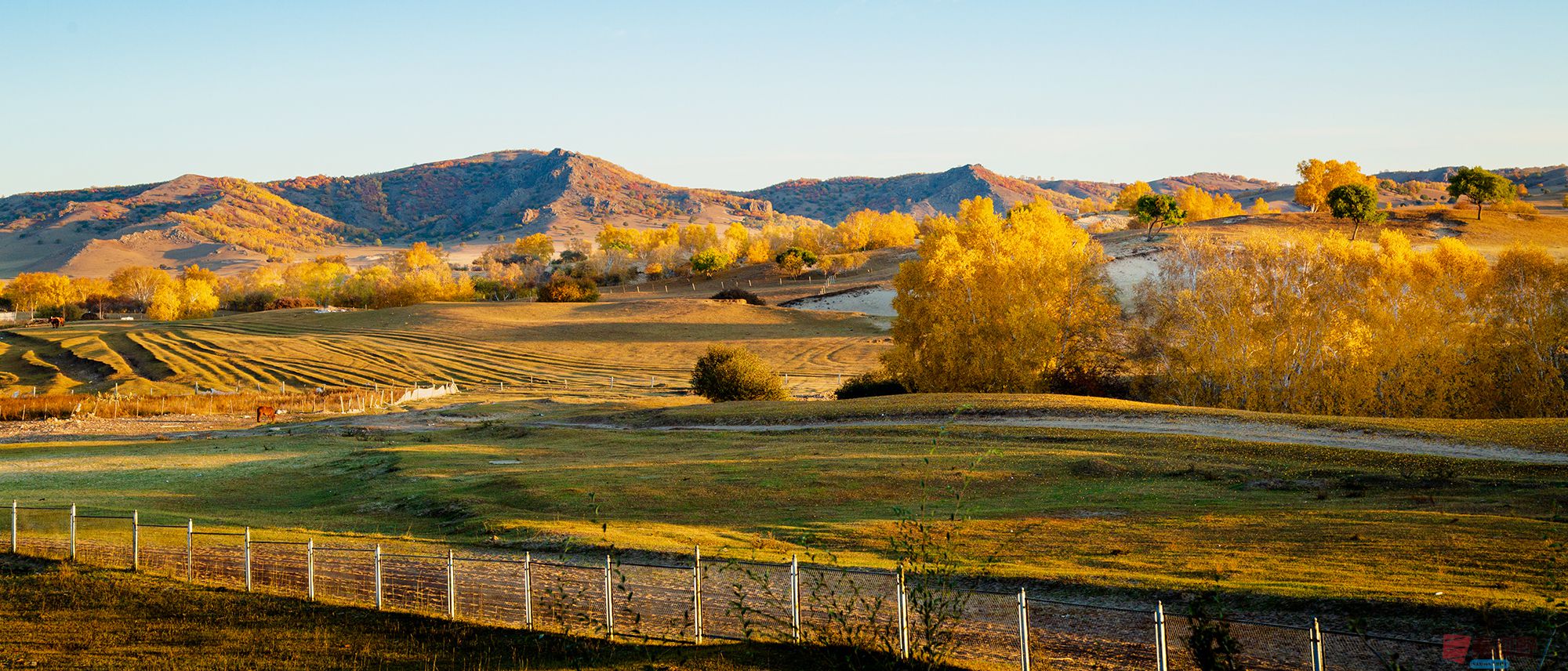 陈辉_20251013204126_2111_463 (4).jpg