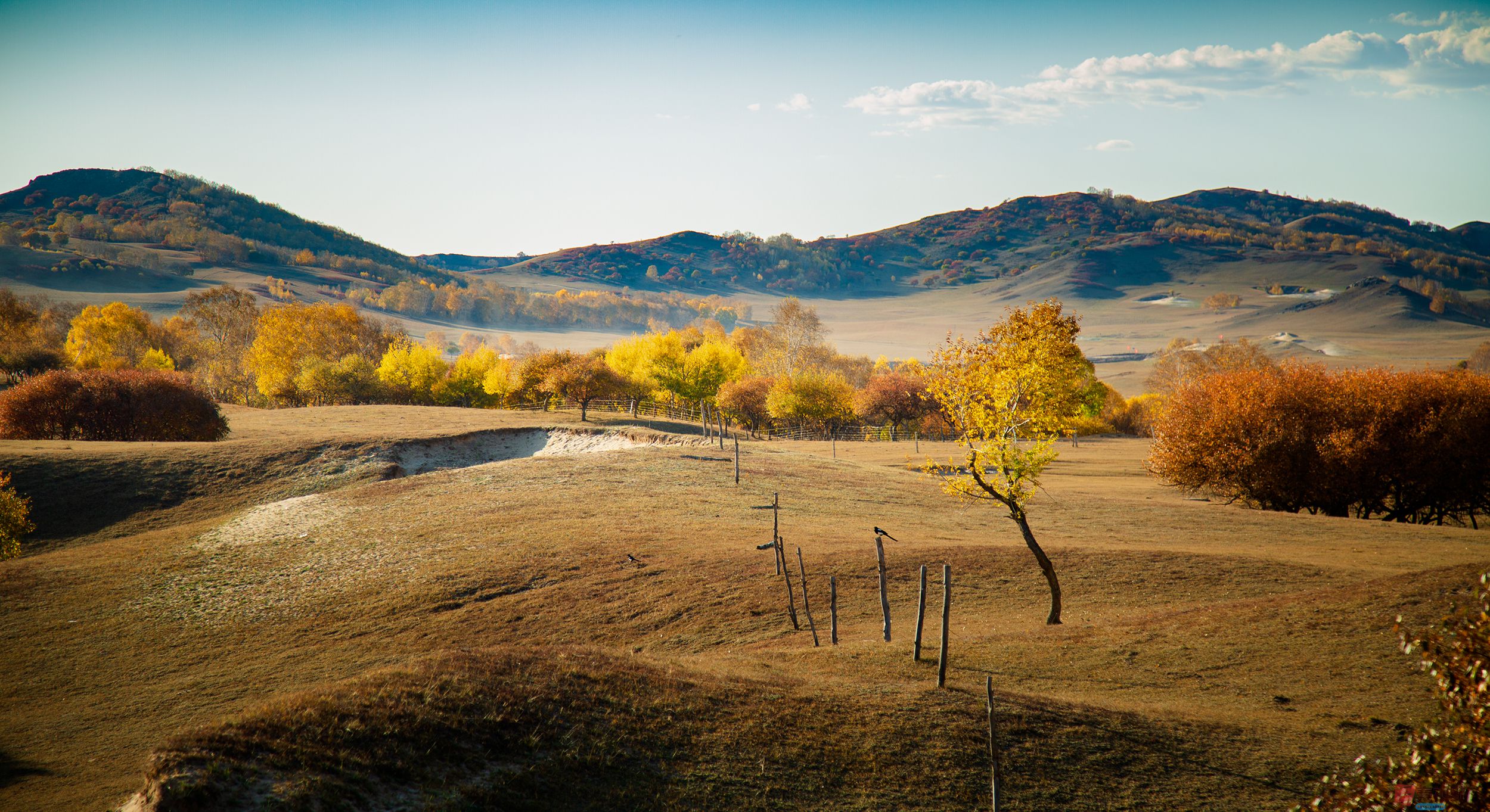 陈辉_20251013204126_2111_463 (7).jpg