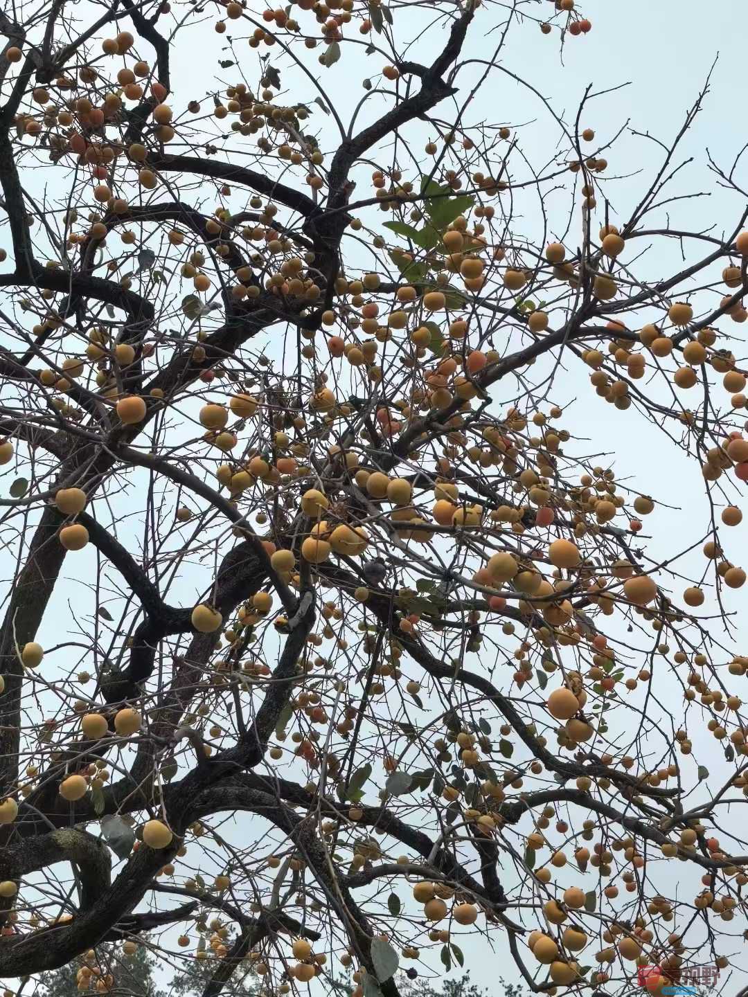 王子文_2025-10-14_191115_735 (1).jpg