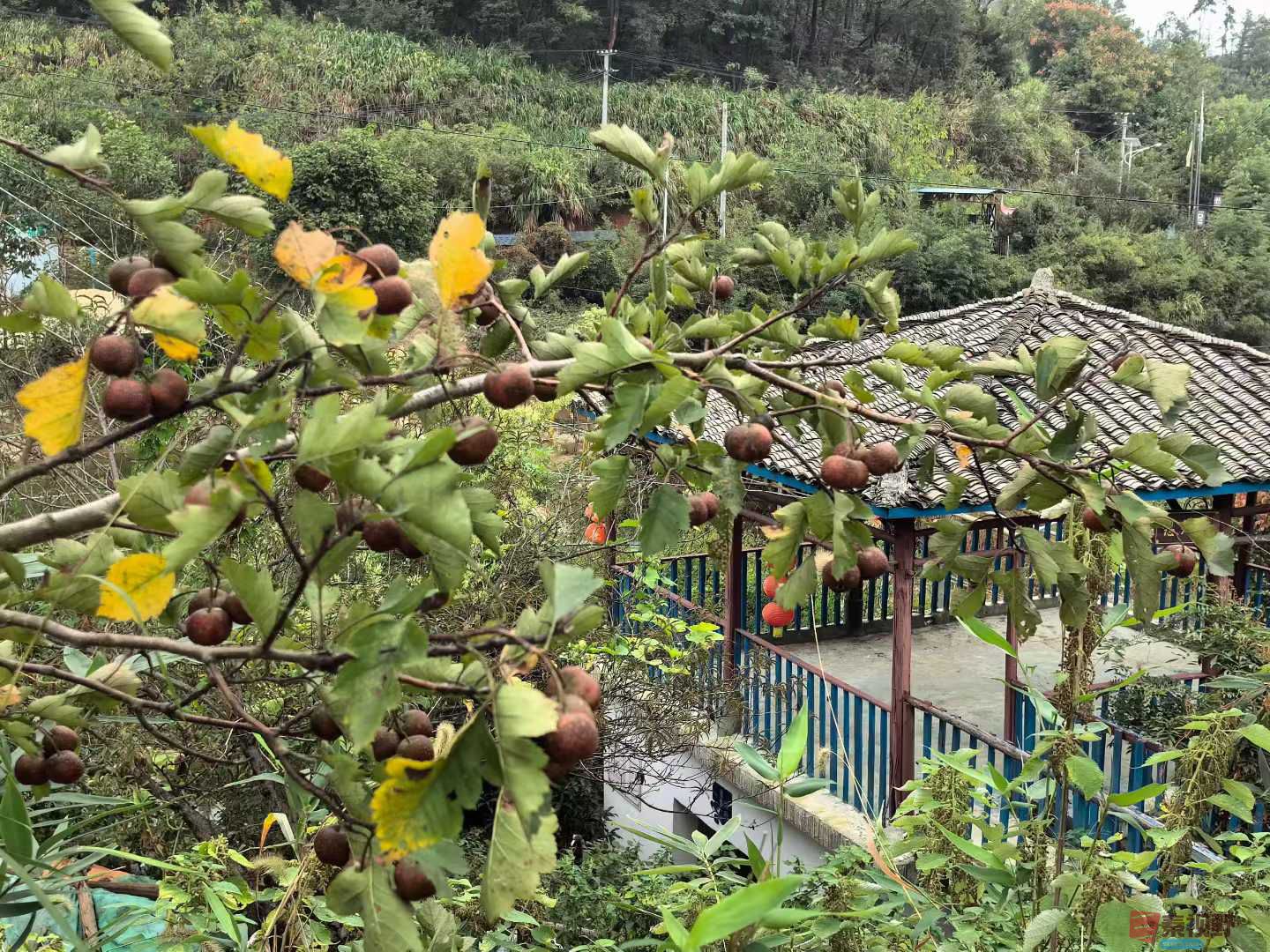 王子文_2025-10-14_191115_735 (4).jpg