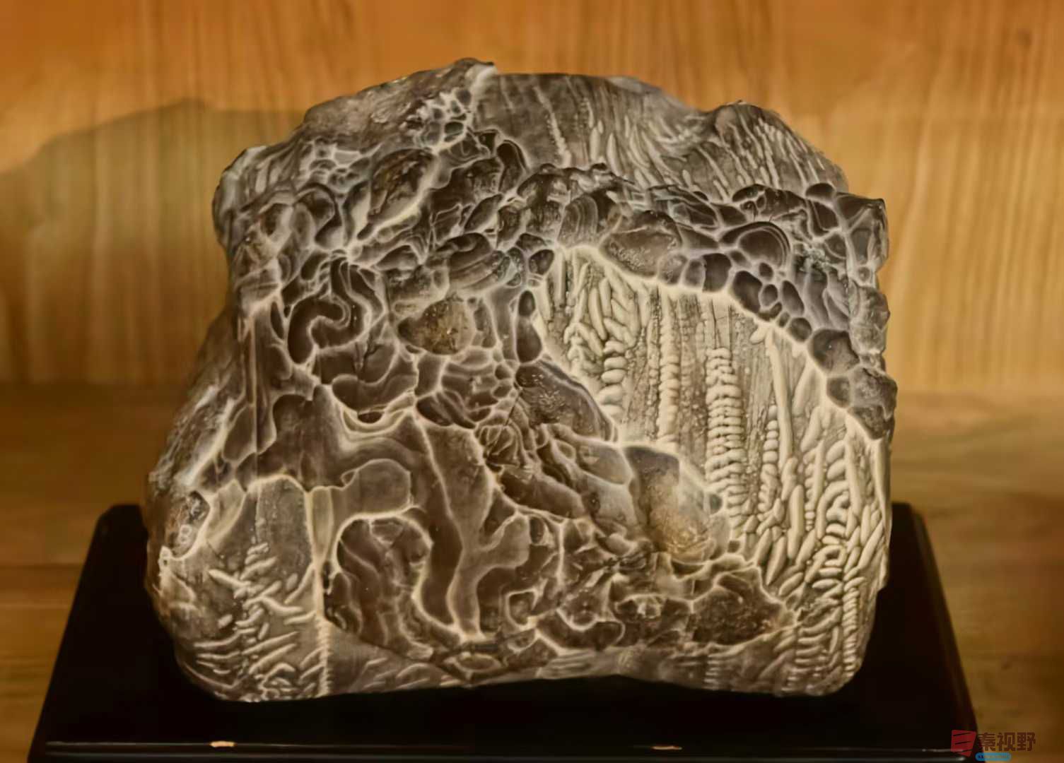 冯均仓_2025-10-16_160321_769 (2).jpg