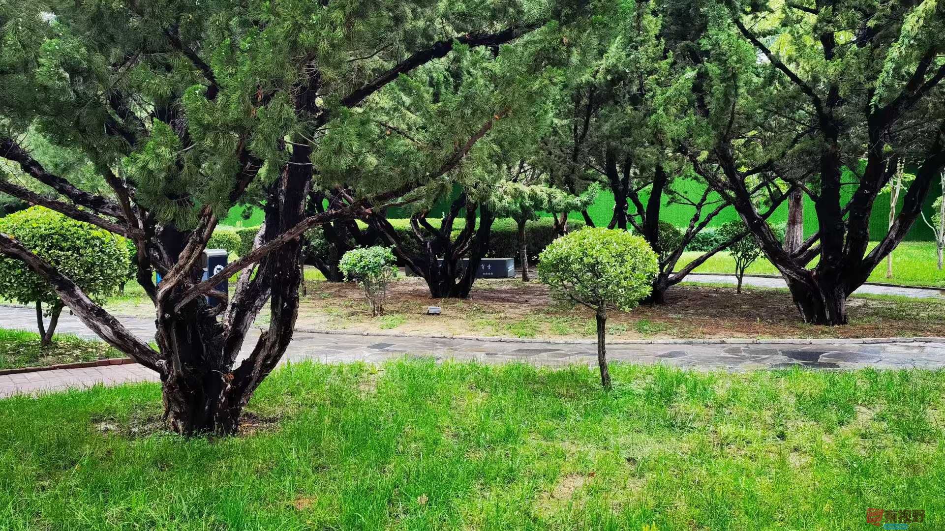 马世国20251019 (2).jpg