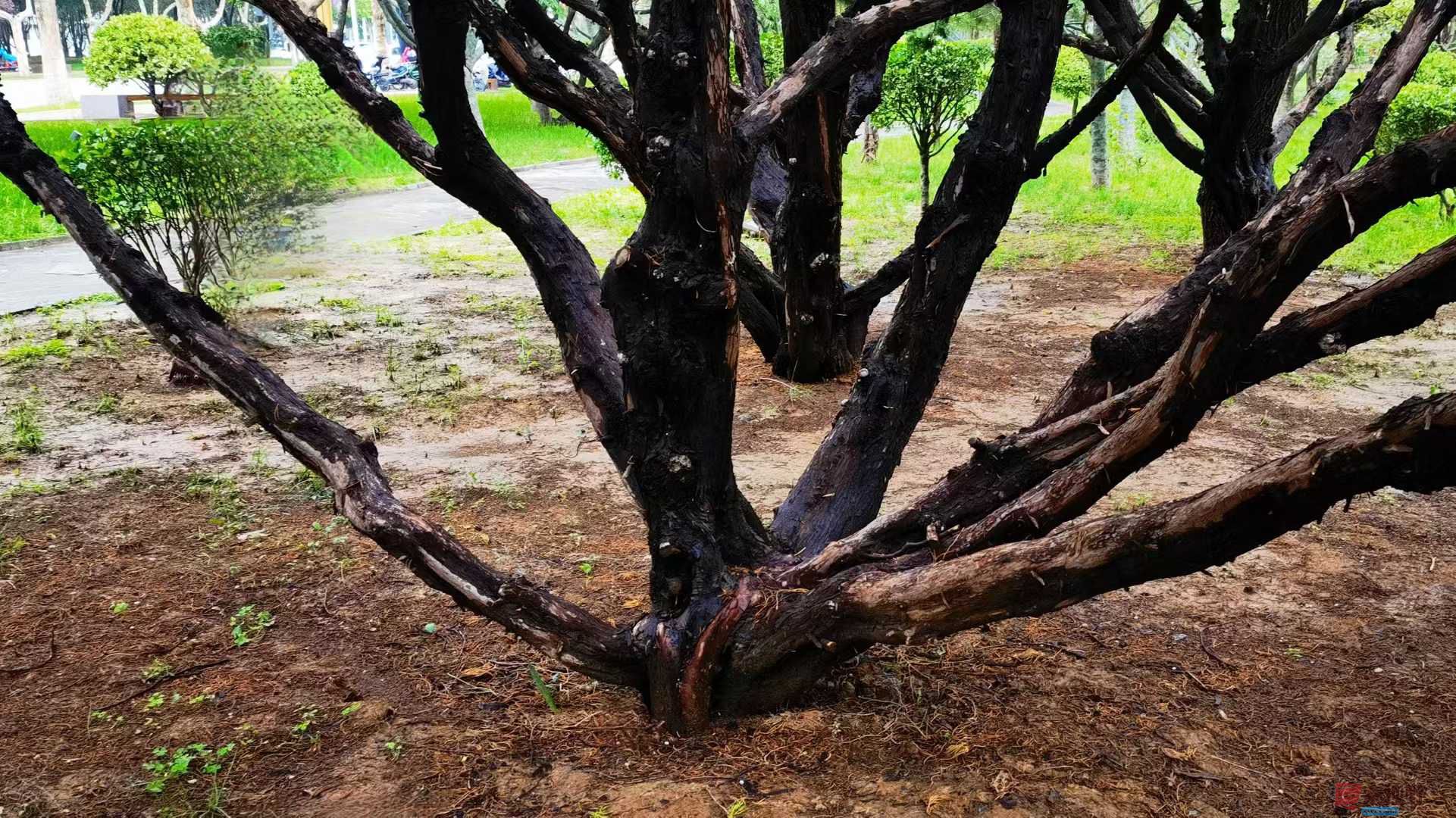 马世国20251019 (9).jpg