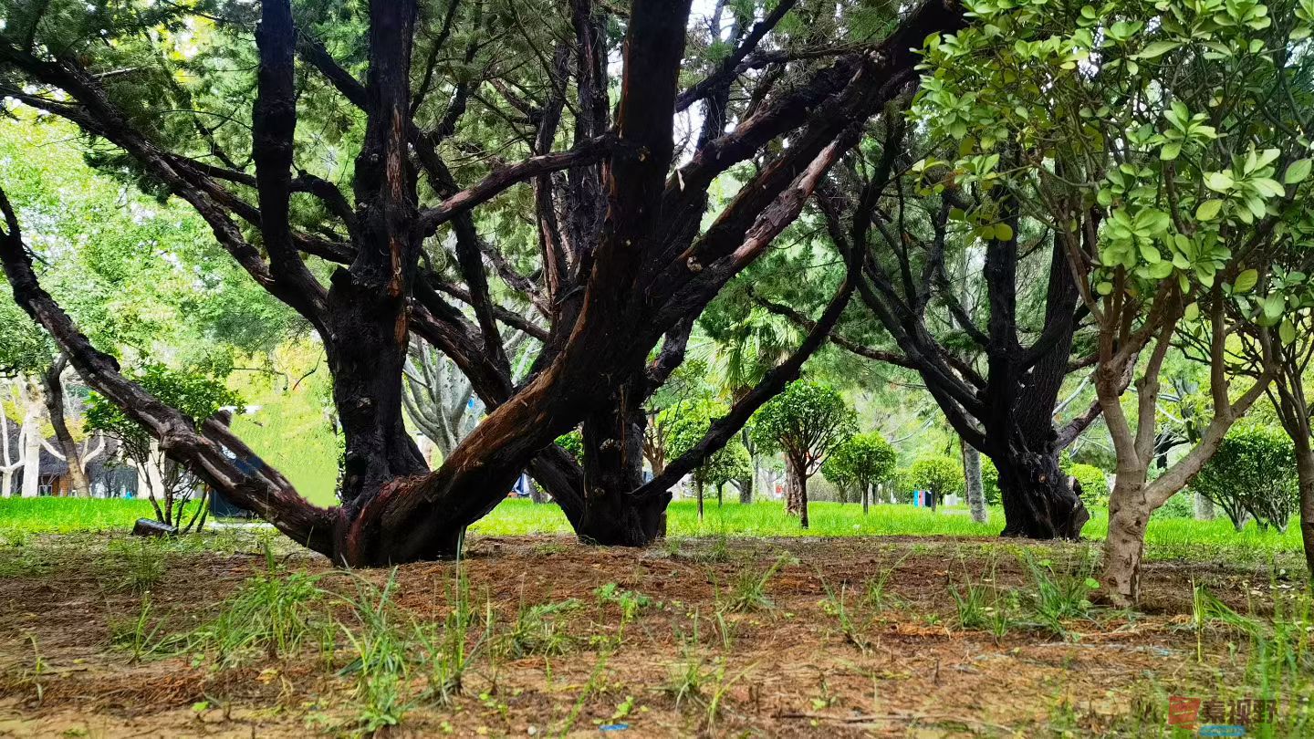 马世国20251019 (5).jpg