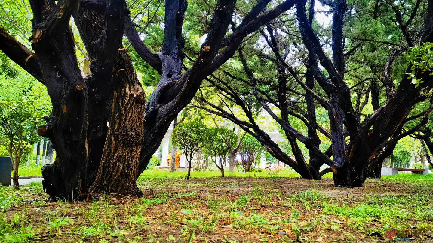 马世国20251019 (4).jpg