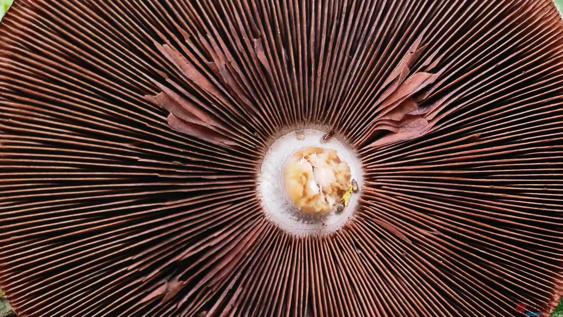 马世国1_2025-10-18_215928_398 (5).jpg