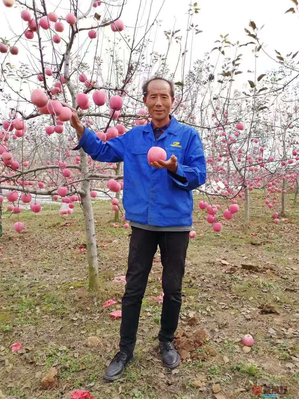 柴岁书20251019 (3).jpg