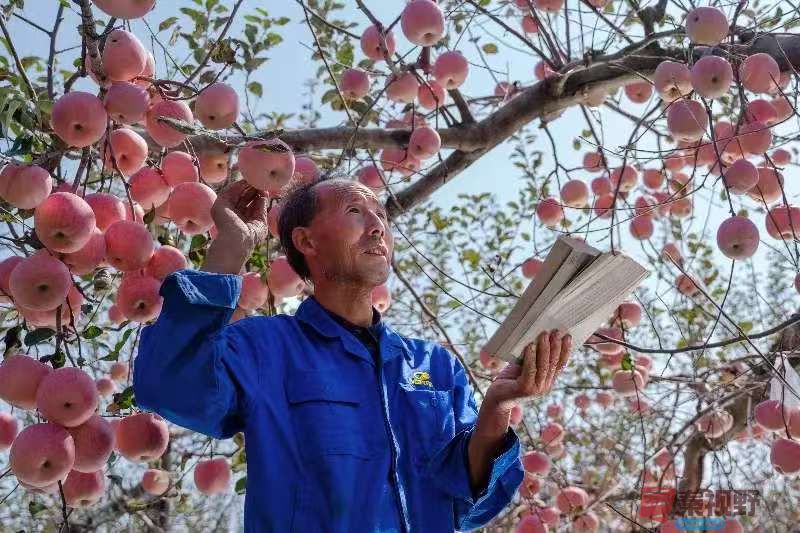 柴岁书20251019 (4).jpg