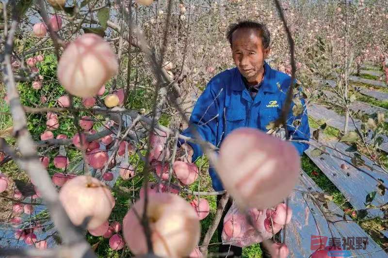 柴岁书20251019 (6).jpg