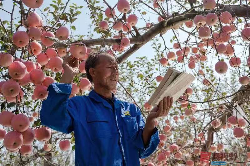 柴岁书20251019 (7).jpg