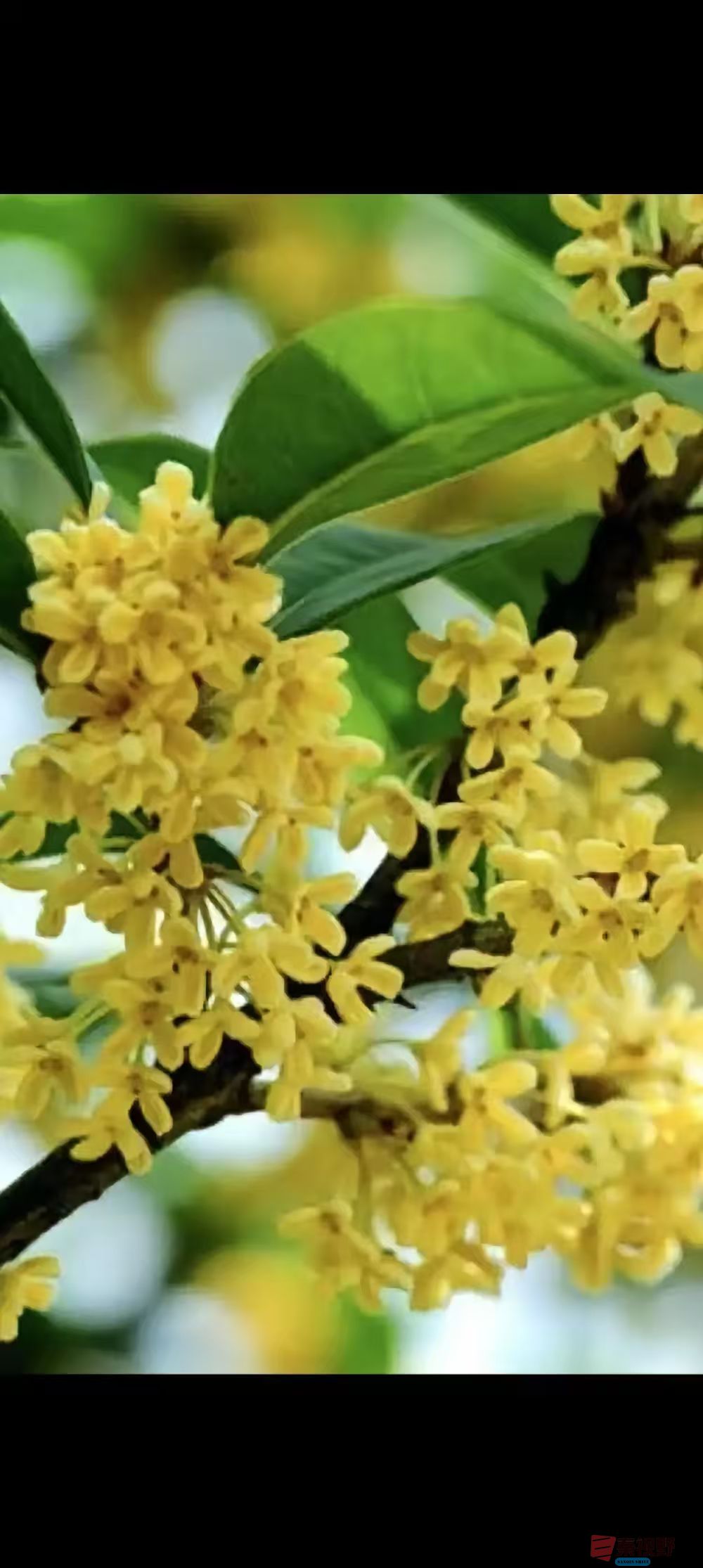 柴岁书20251019 (10).jpg