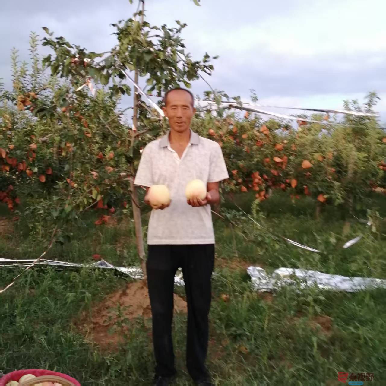 柴岁书20251019 (15).jpg