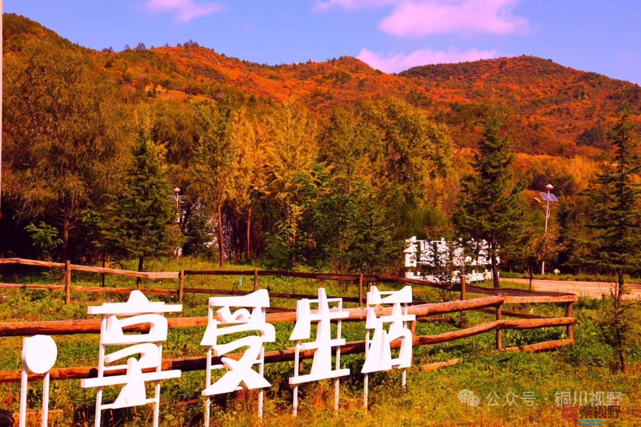 柴岁书20251019 (20).jpg