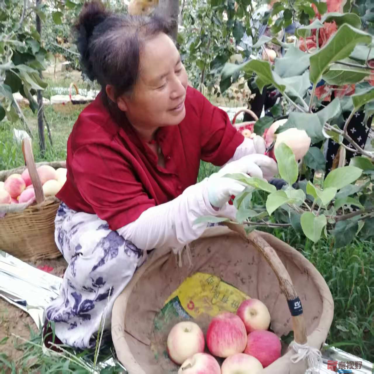 柴岁书20251019 (5).jpg