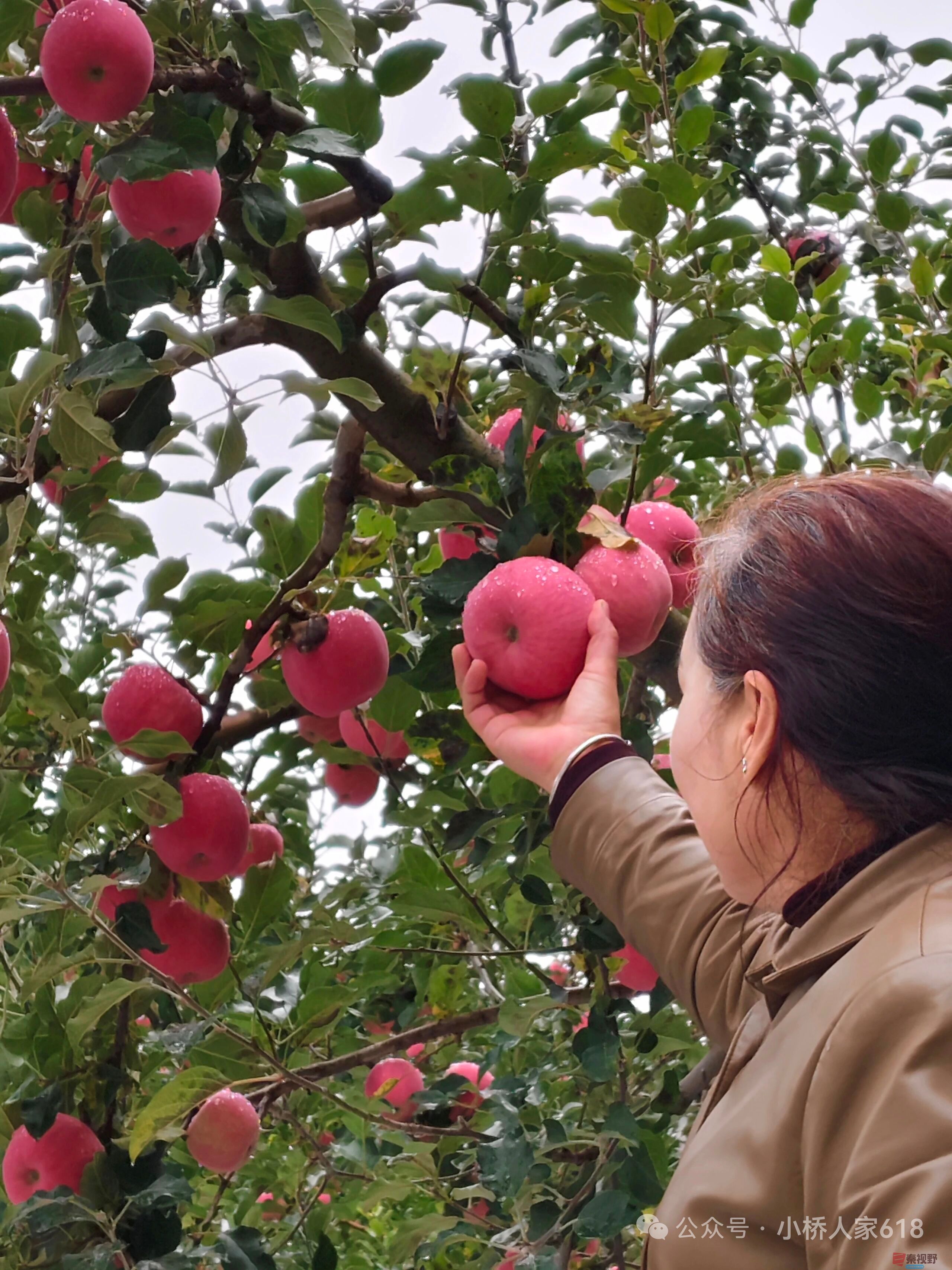 柴岁书20251019 (11).jpg