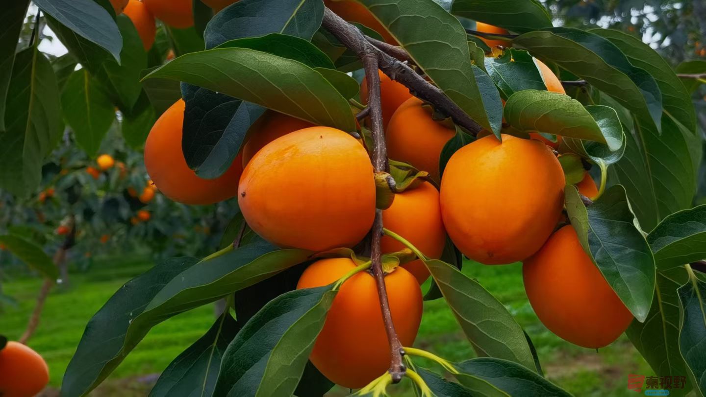 马世国20251019 (4).jpg