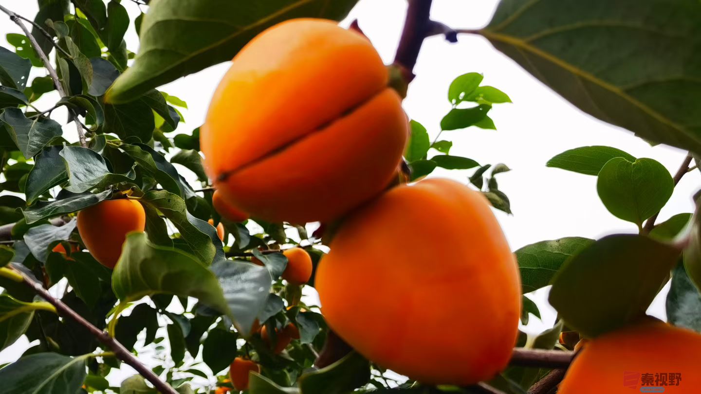 马世国20251019 (9).jpg