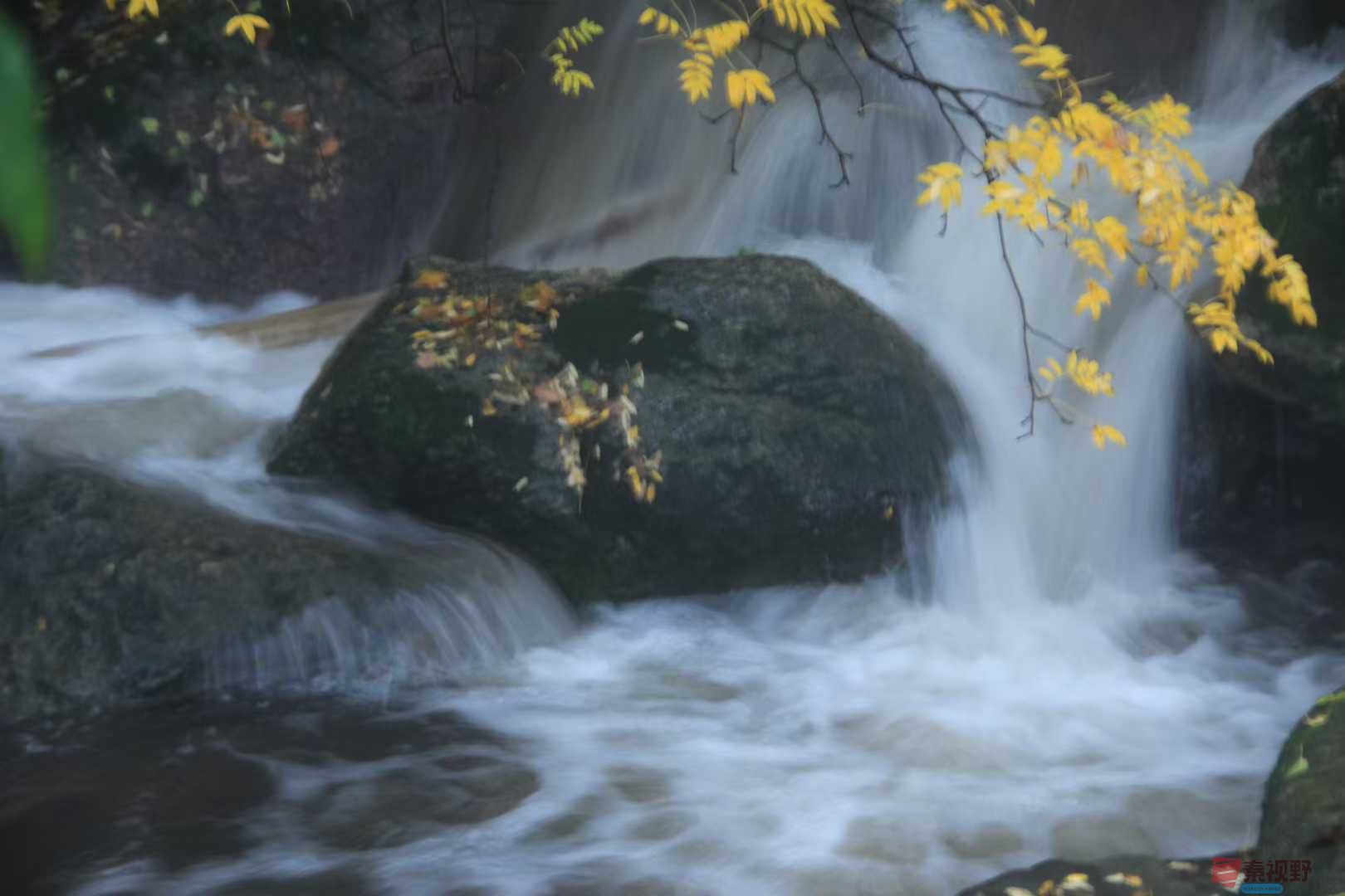 魏俊霞_2025-10-18_220243_730 (4).jpg