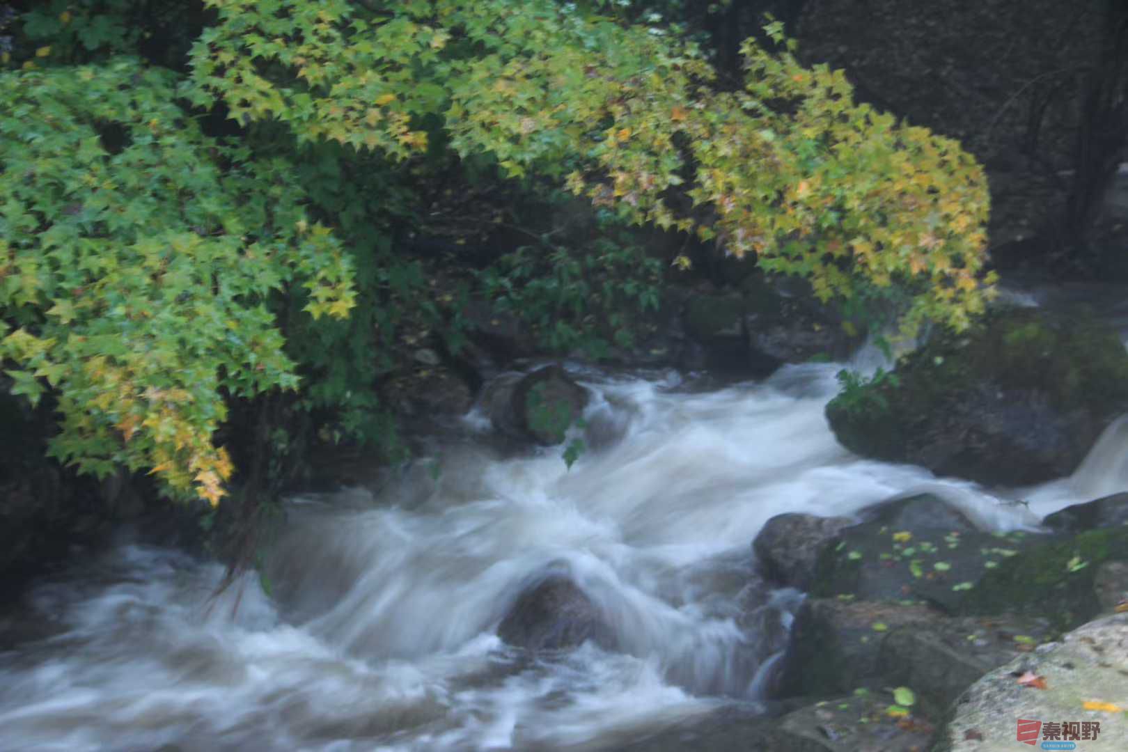 魏俊霞_2025-10-18_220243_730 (5).jpg