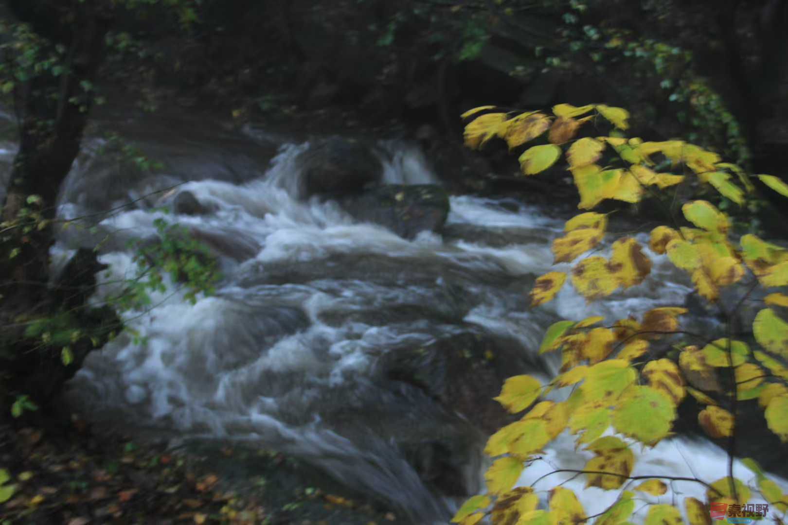 魏俊霞_2025-10-18_220243_730 (7).jpg