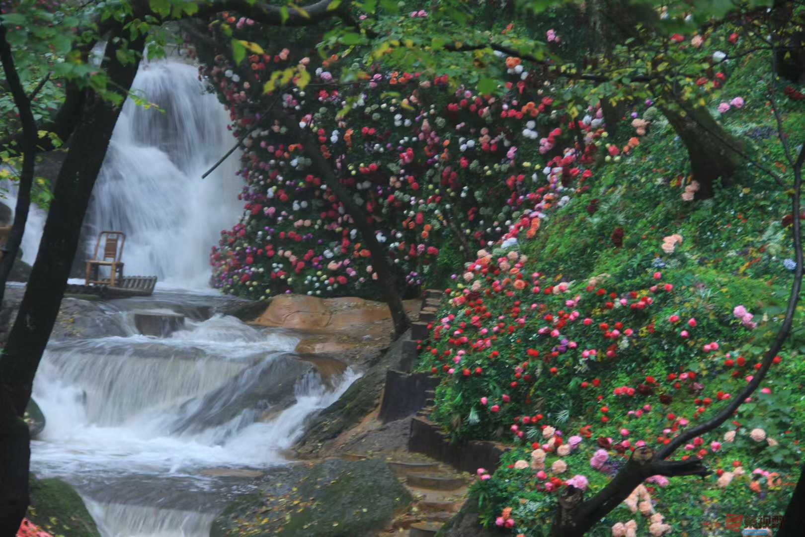 魏俊霞_2025-10-18_220243_730 (6).jpg