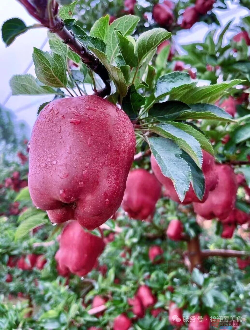 柴岁书20251019 (35).jpg