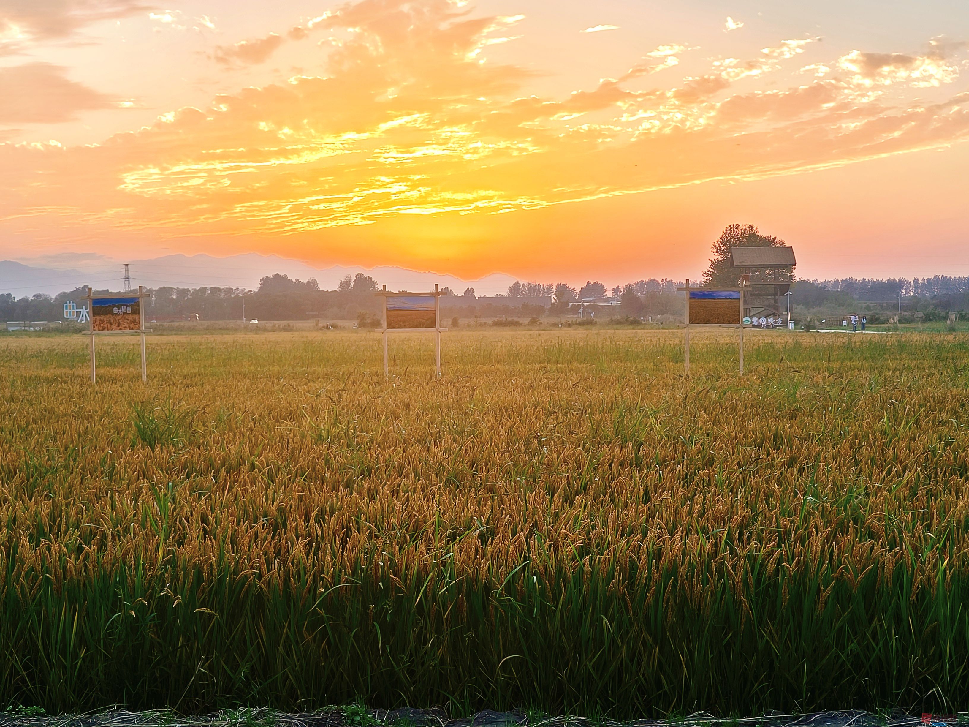 任周民_20251020143321_7_1580 (4).jpg