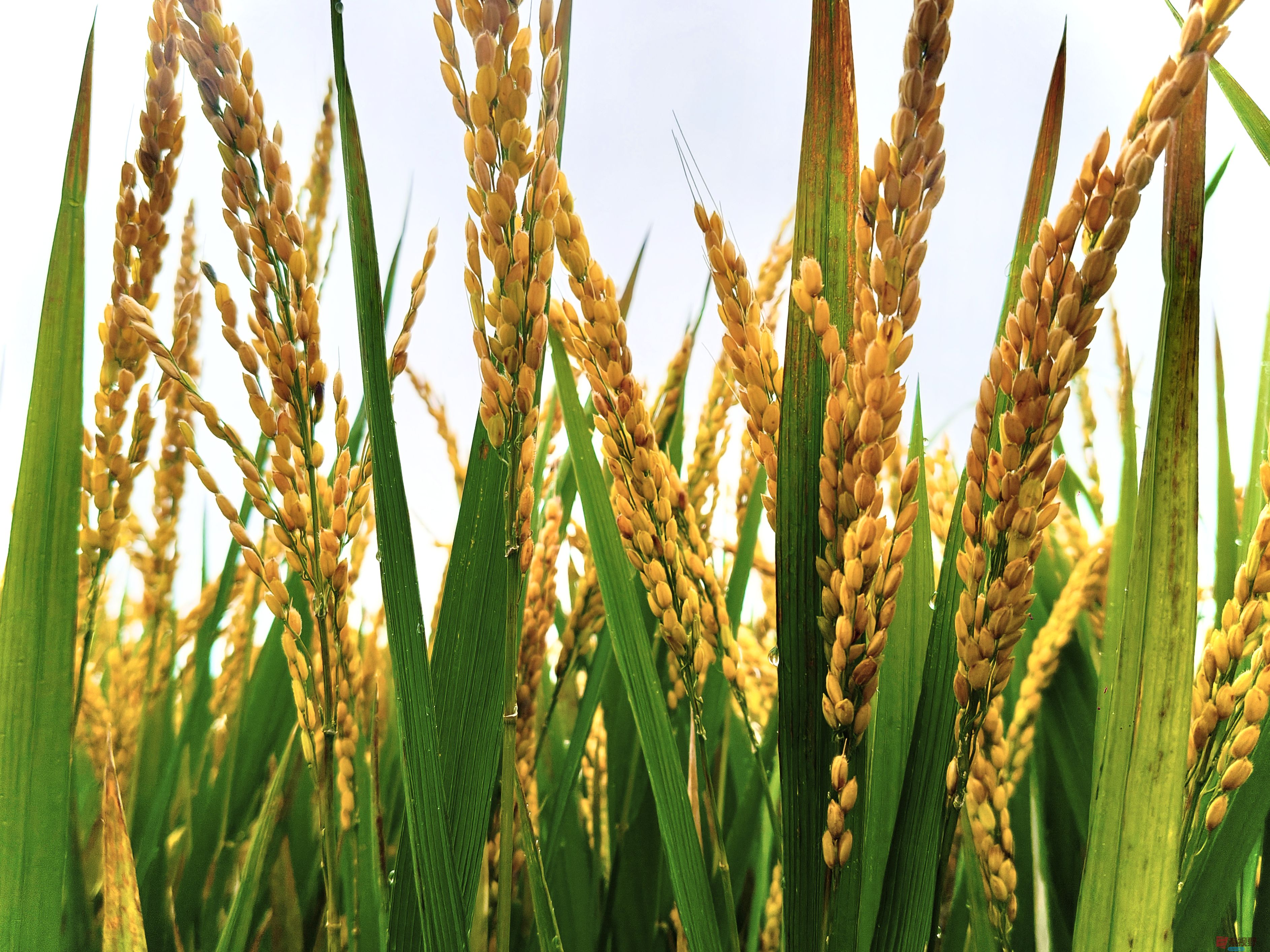 任周民_20251020143321_7_1580 (8).jpg