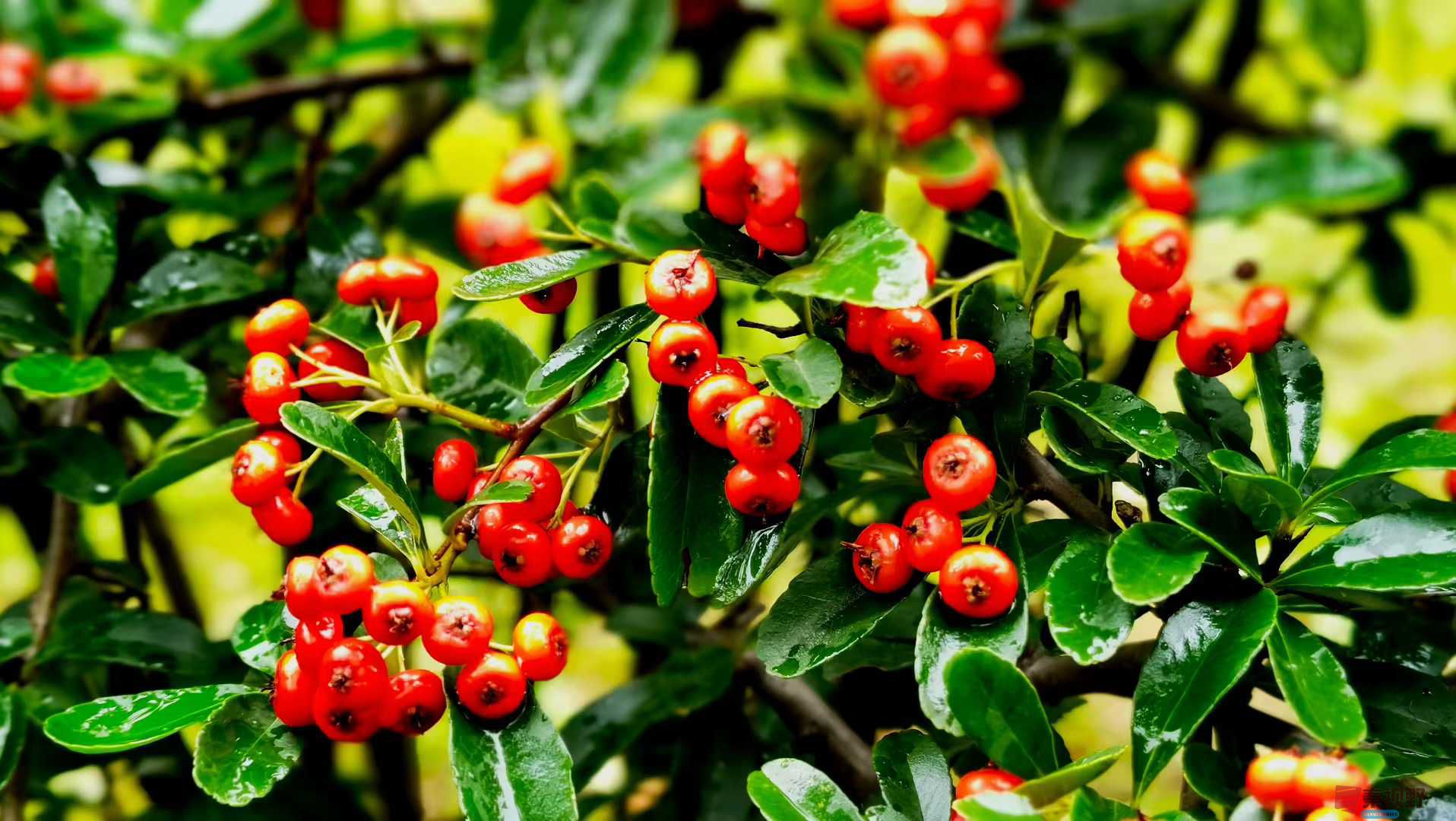 马世国_2025-10-21_091256_367 (3).jpg