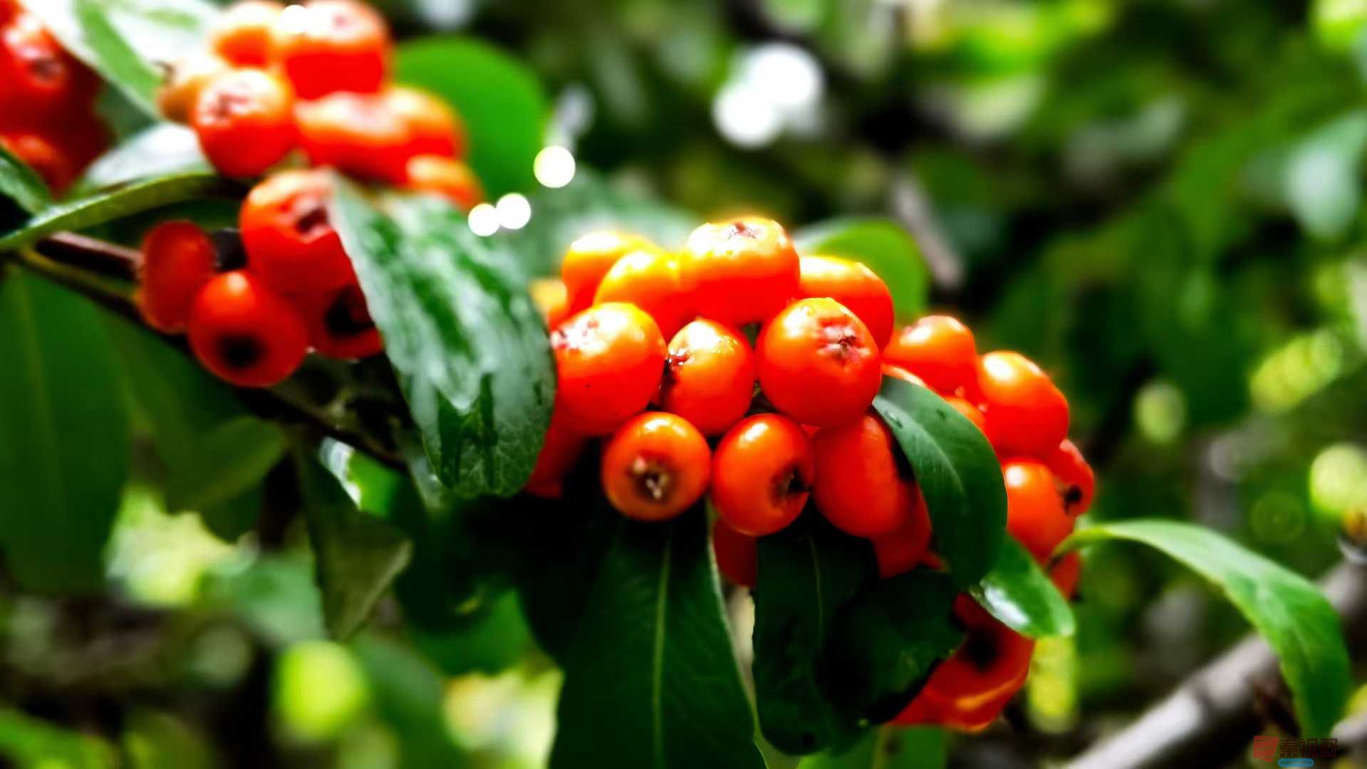 马世国_2025-10-21_091256_367 (4).jpg