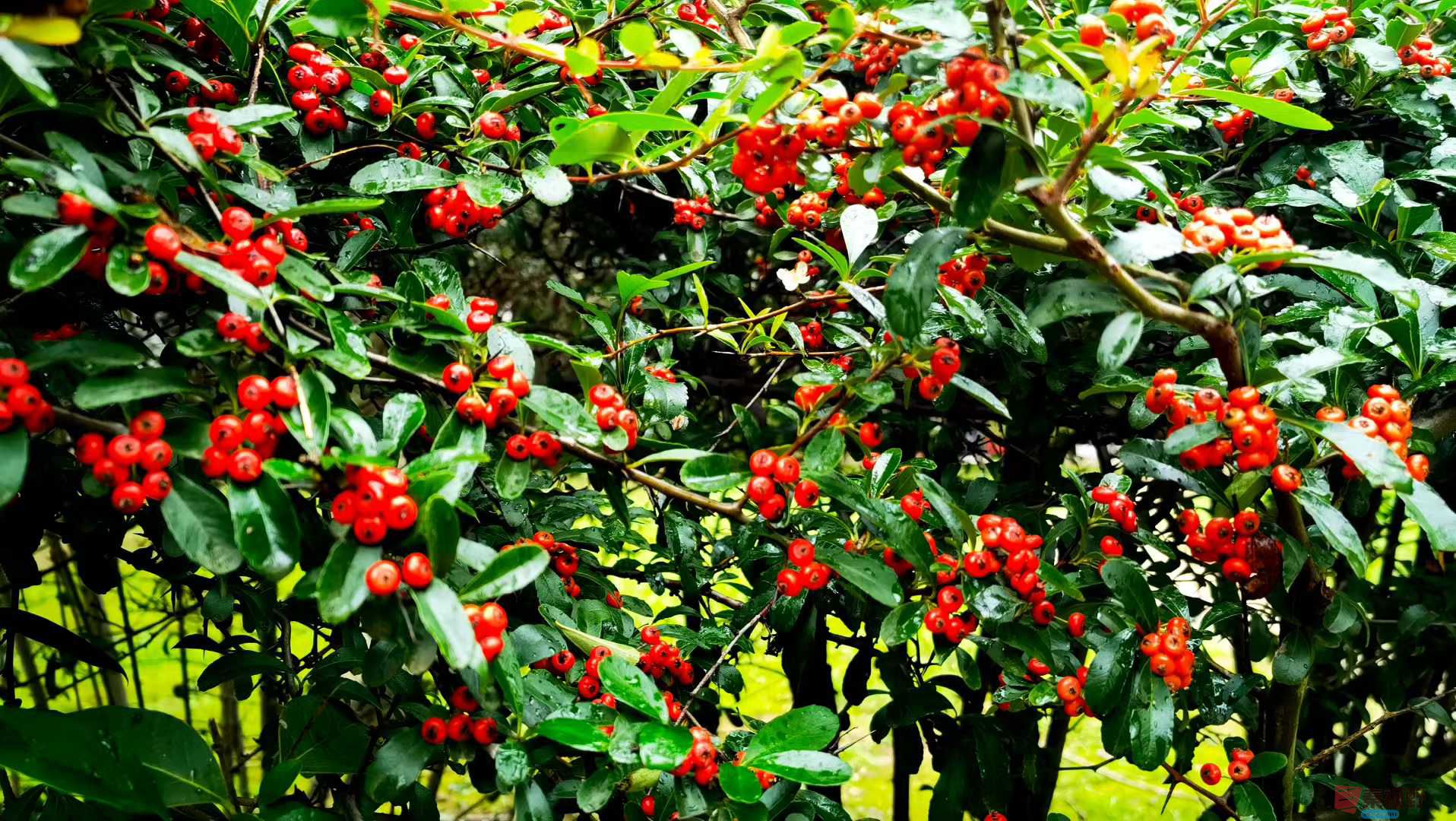 马世国_2025-10-21_091256_367 (9).jpg