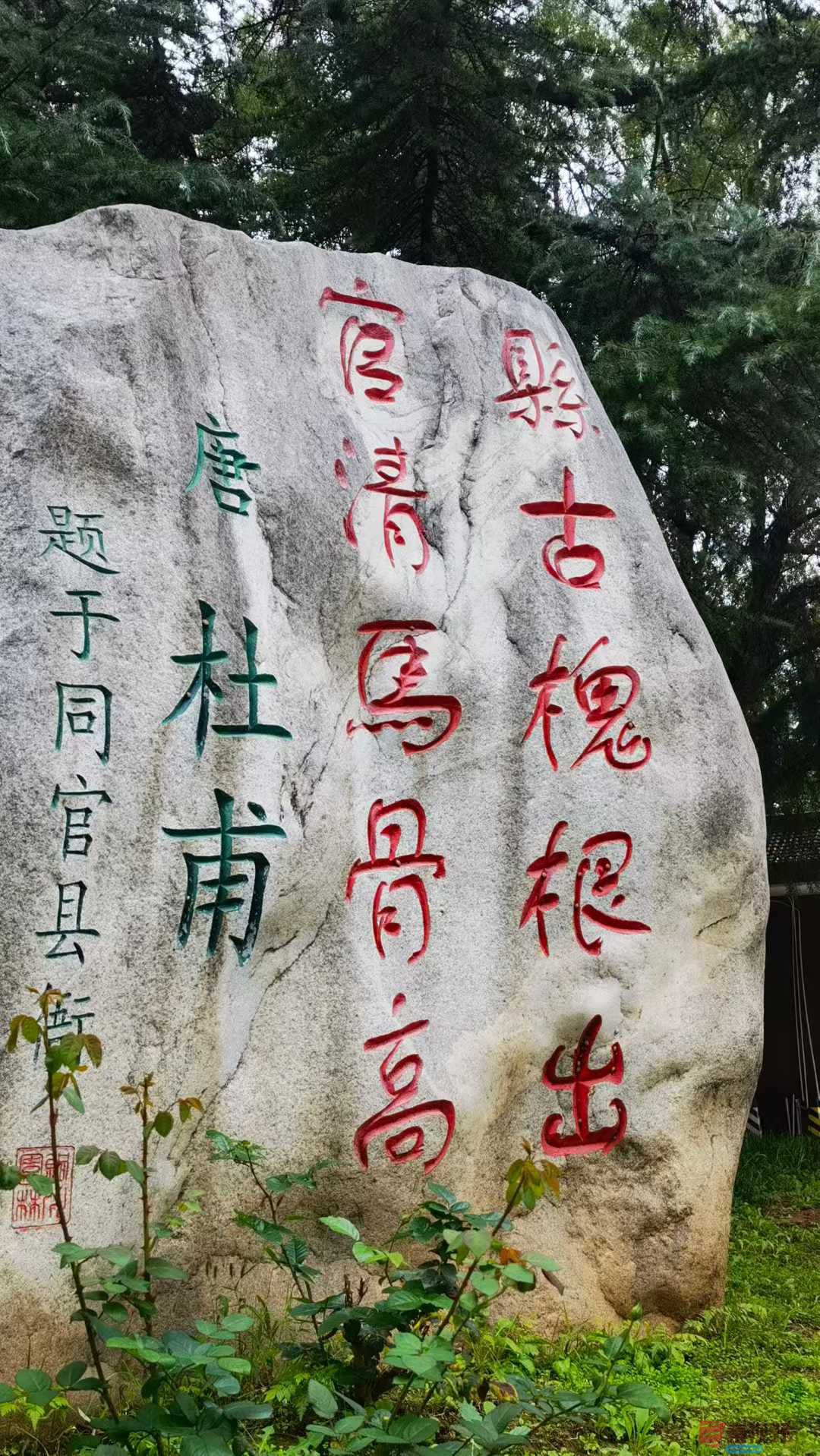 马世国_2025-10-22_105344_630 (1).jpg