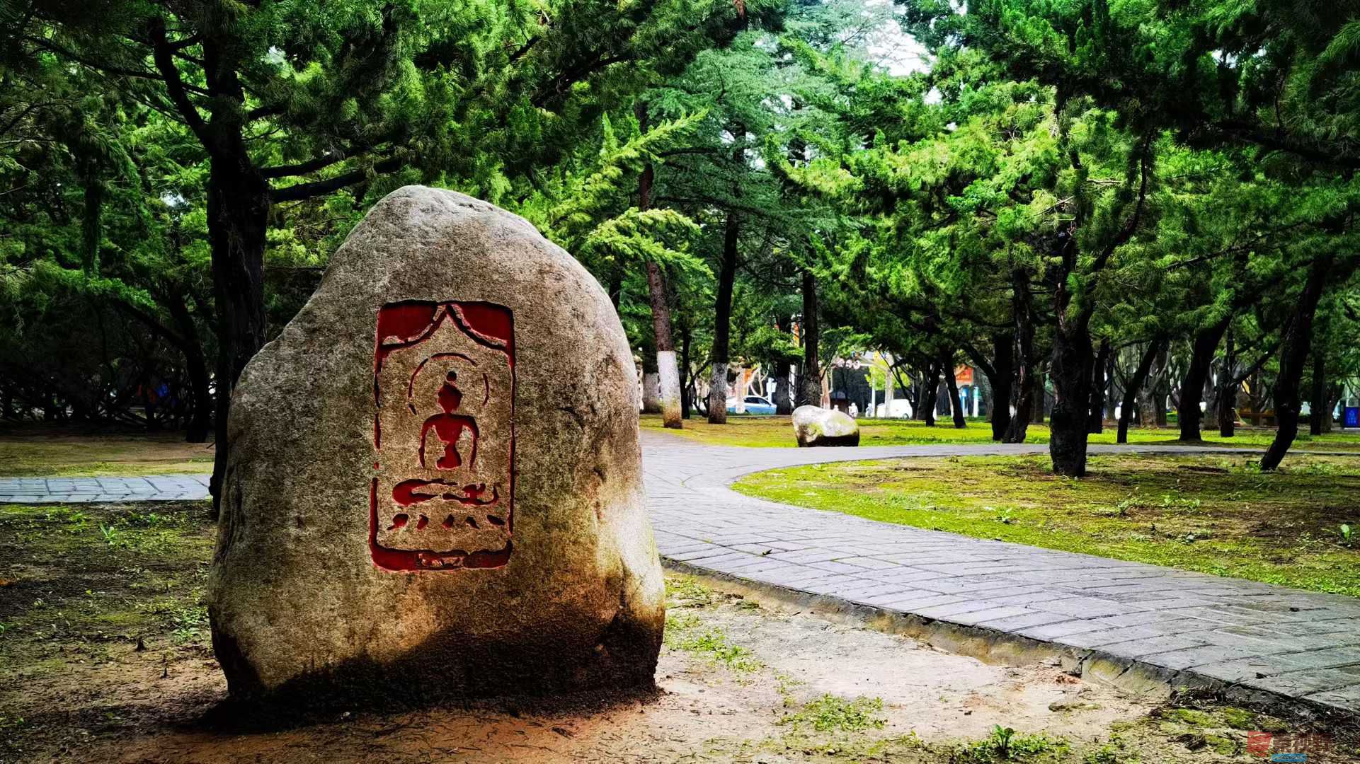 马世国_2025-10-22_105344_630 (2).jpg