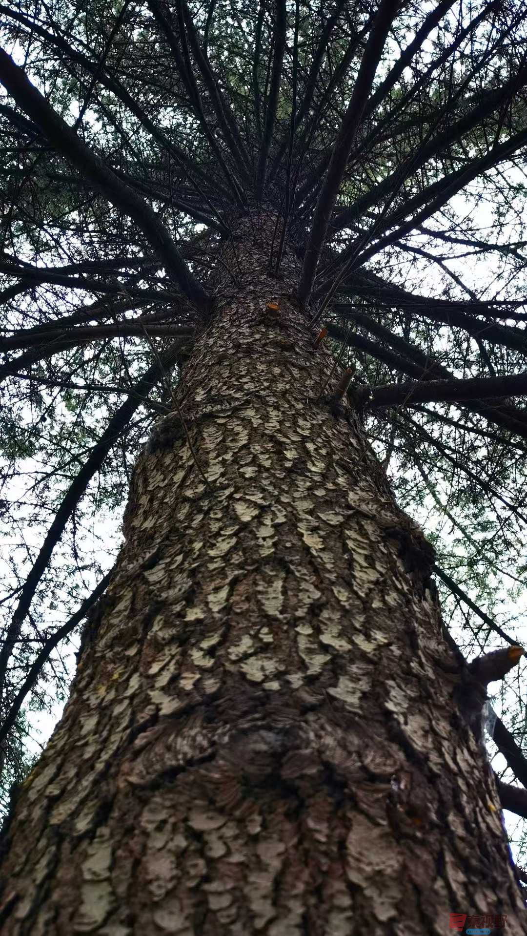 马世国_2025-10-22_105344_630 (8).jpg