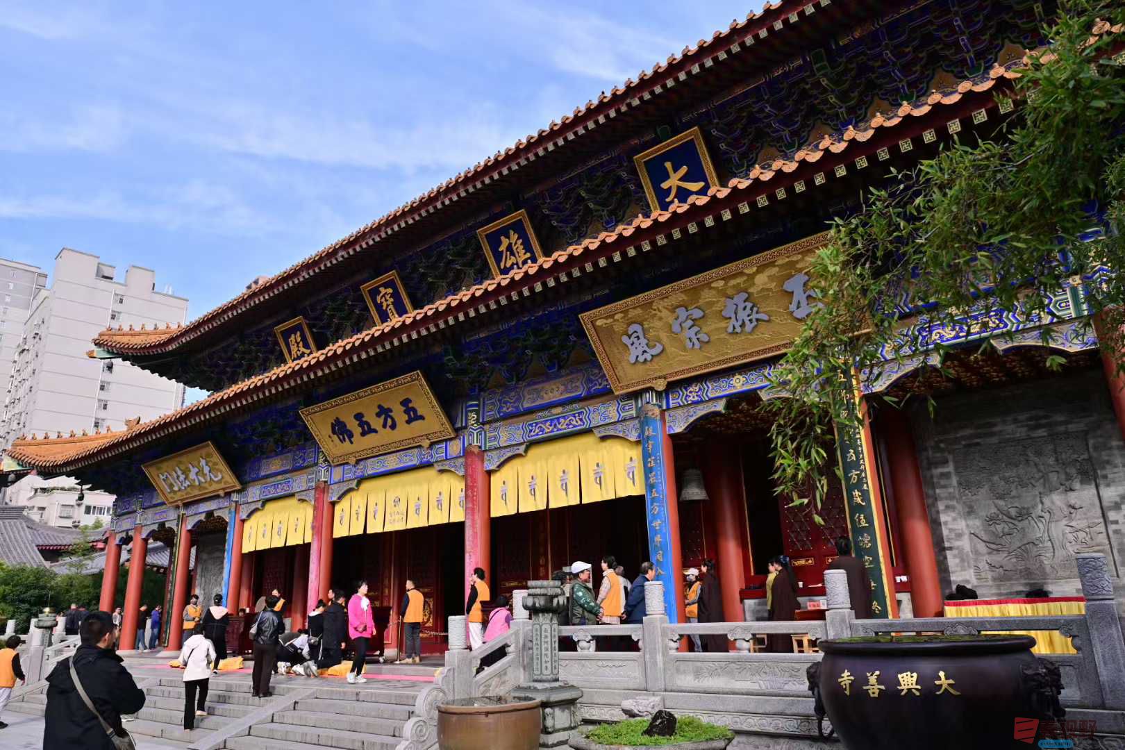 张高翔_2025-10-22_105444_527 (5).jpg