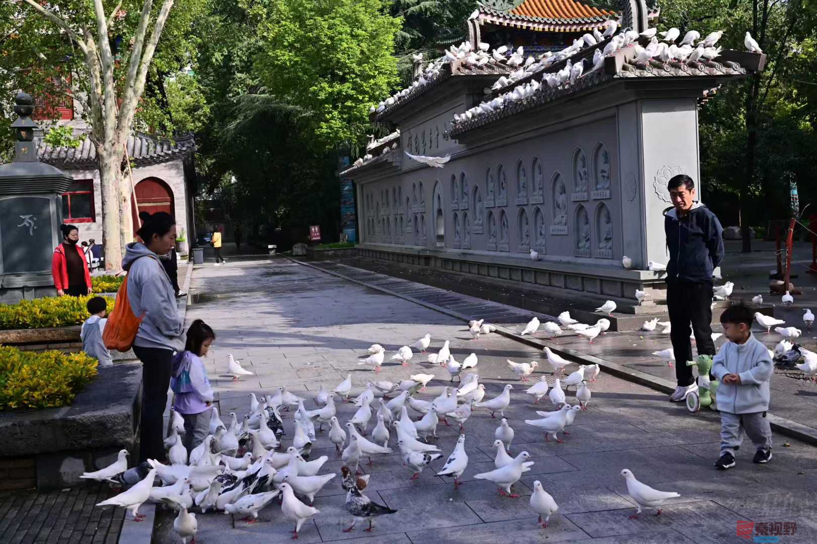 张高翔_2025-10-22_105444_527 (7).jpg