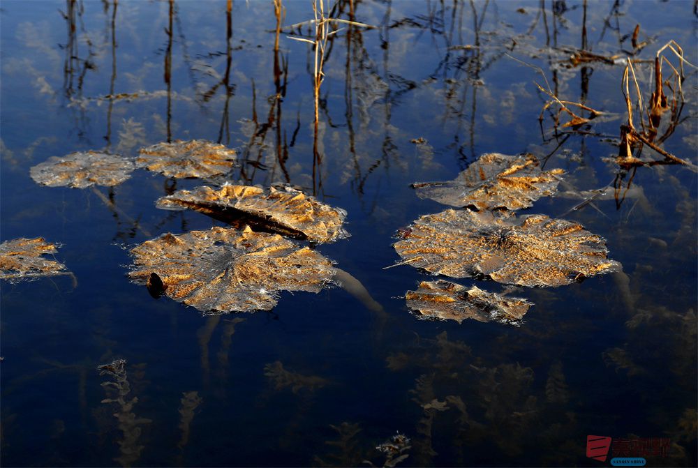 寇群利压缩_20251012224328_59_704 (17).jpg