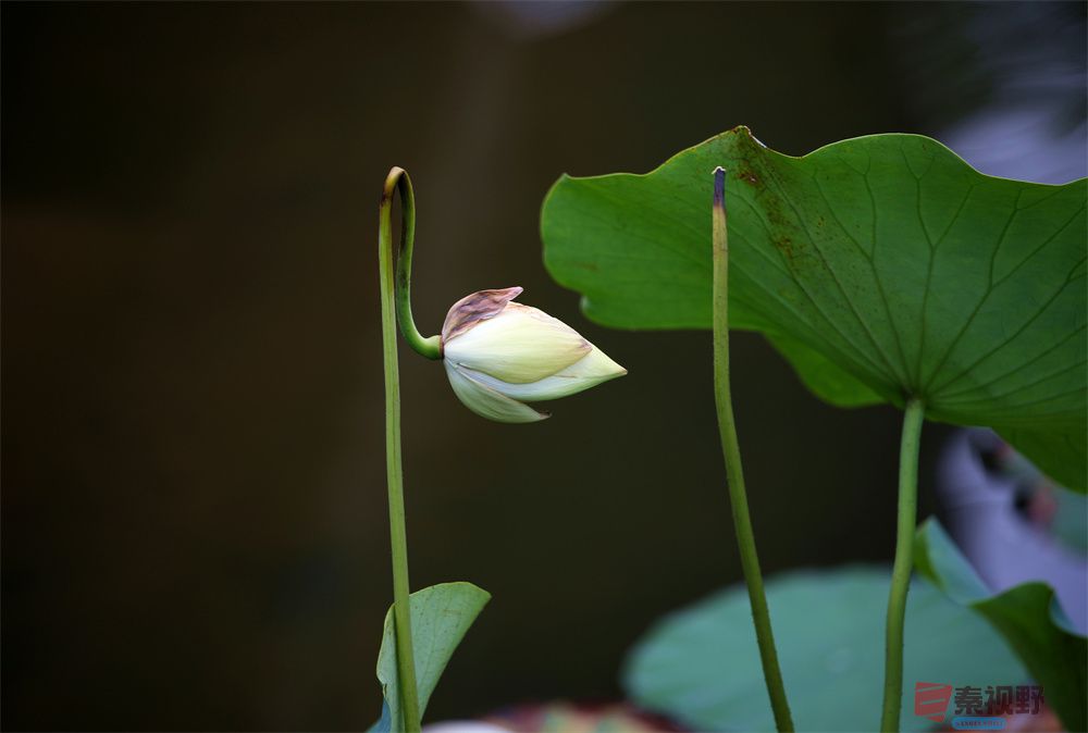 寇群利压缩_20251012224328_59_704 (11).jpg