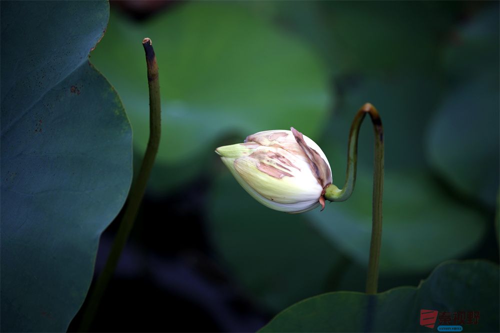 寇群利压缩_20251012224328_59_704 (10).jpg