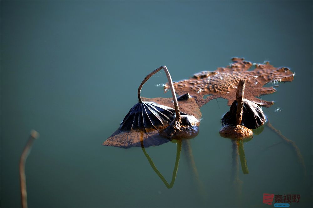 寇群利压缩_20251012224328_59_704 (15).jpg