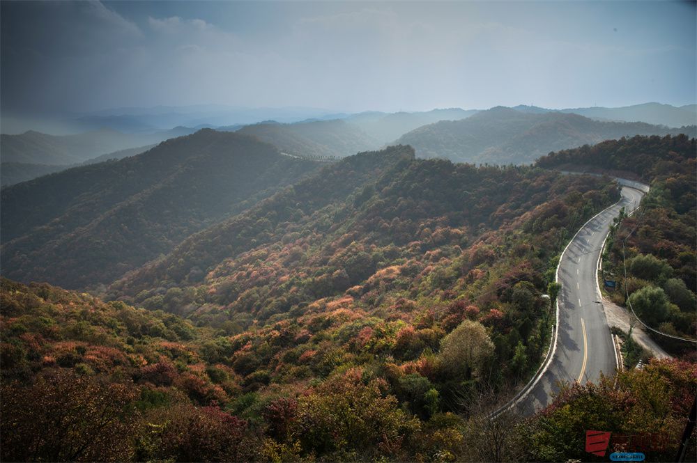 肖宝清压缩_20251023170949_2360_463 (1).jpg