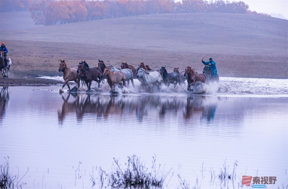 张宝光压缩_20251023190320_2385_463 (5).jpg