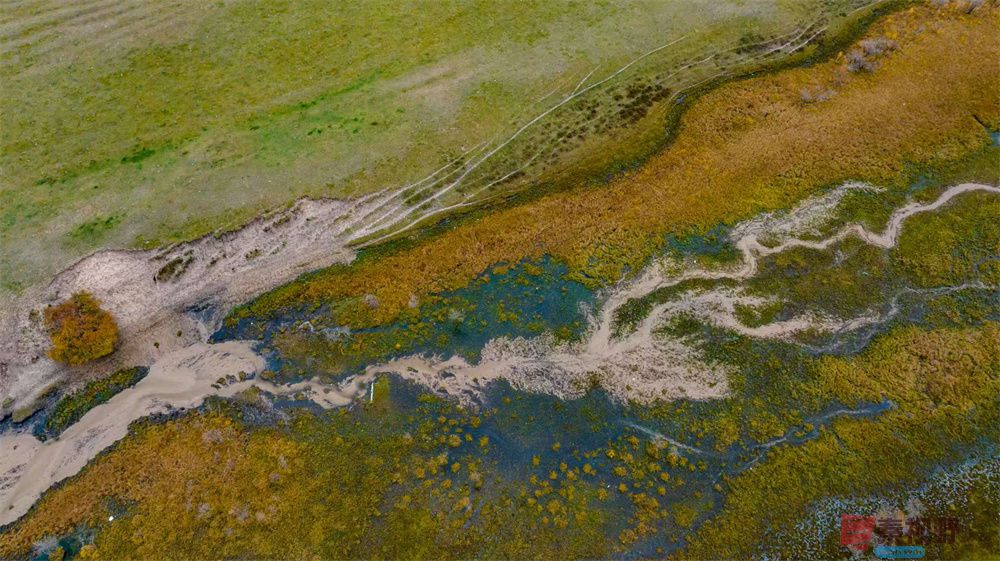 张宝光压缩_20251023190320_2385_463 (4).jpg