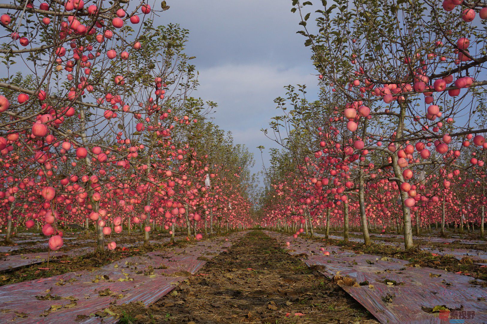 孙宏伟_20251024094401_49_469 (4).jpg