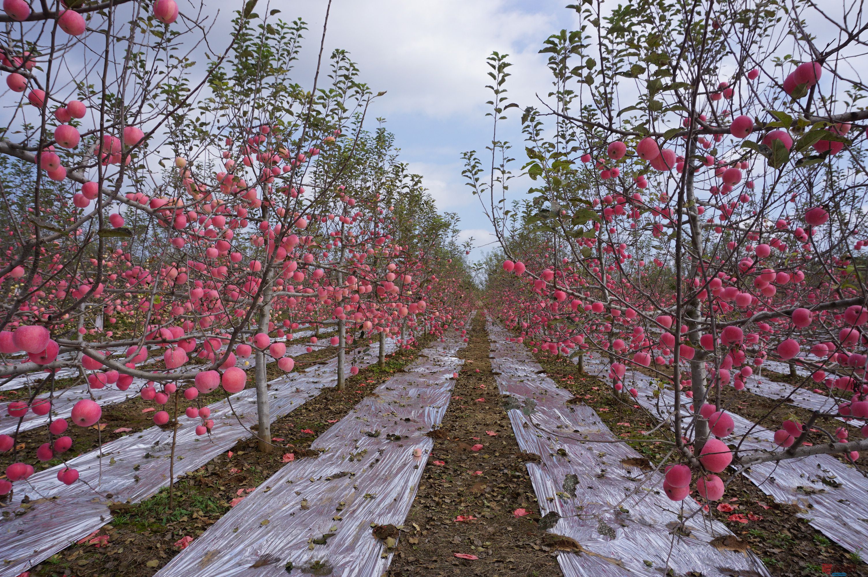 孙宏伟_20251024094401_49_469 (7).jpg