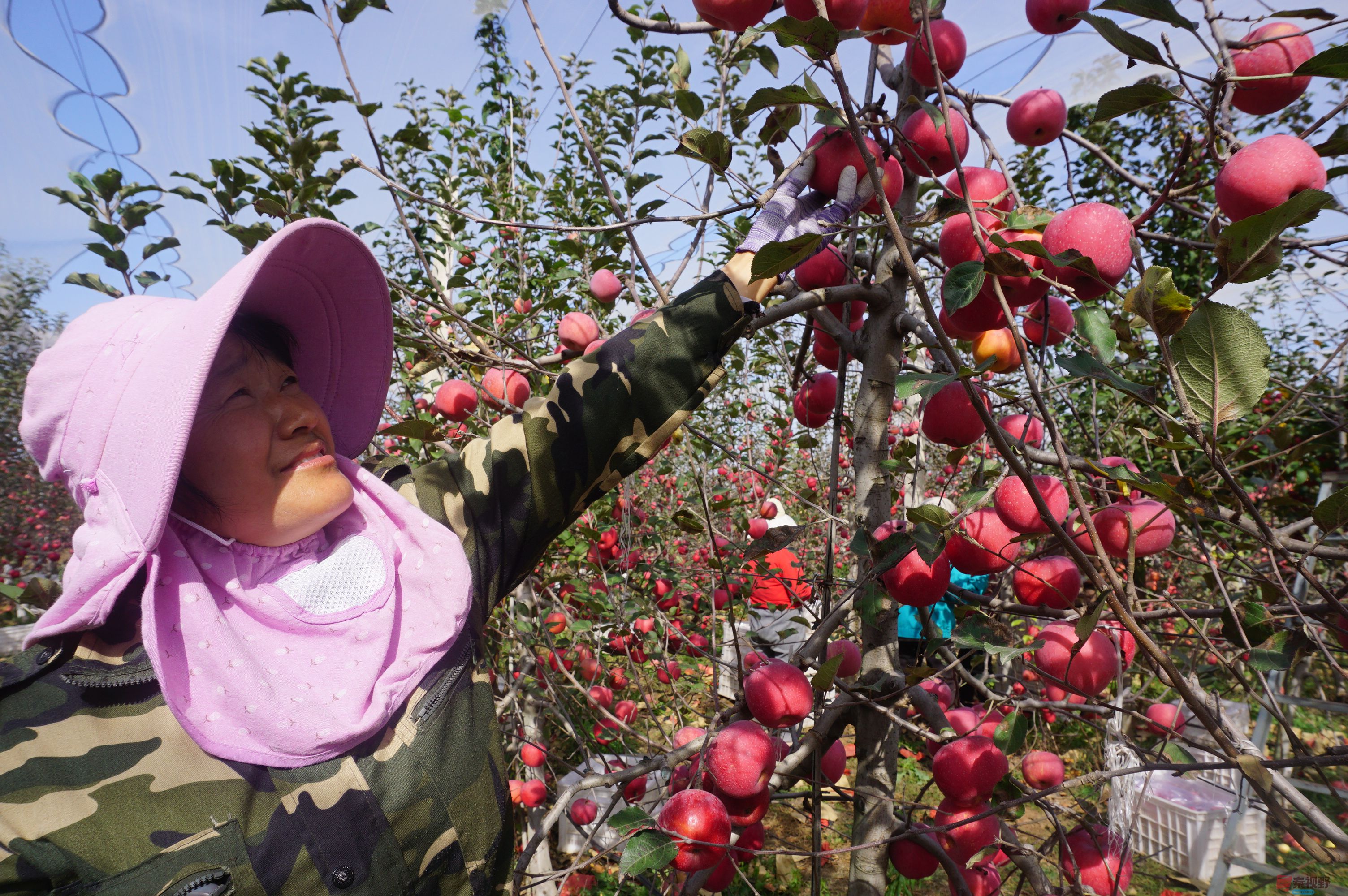 孙宏伟_20251024094401_49_469 (8).jpg