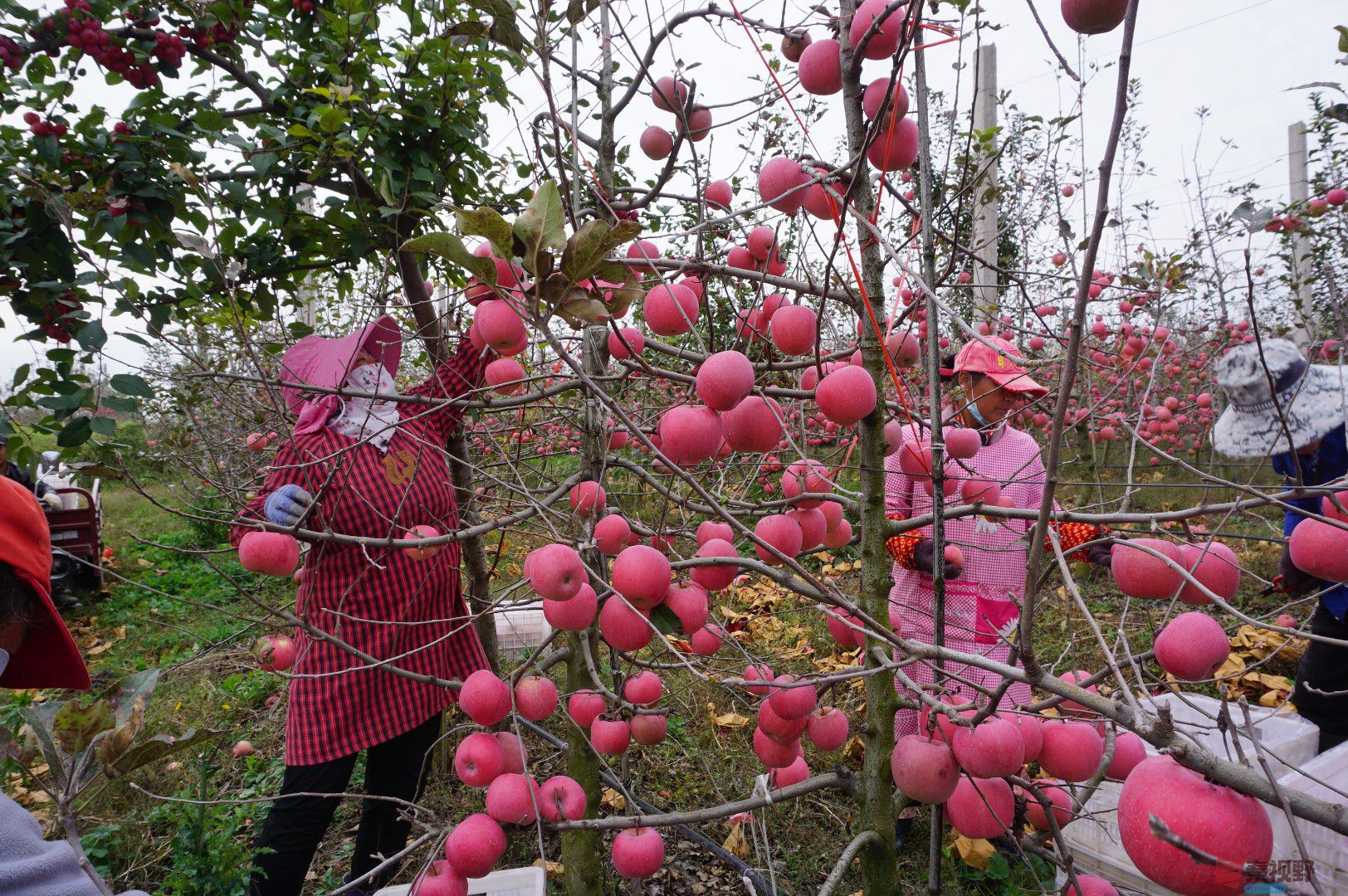 孙宏伟_20251024094401_49_469 (10).jpg