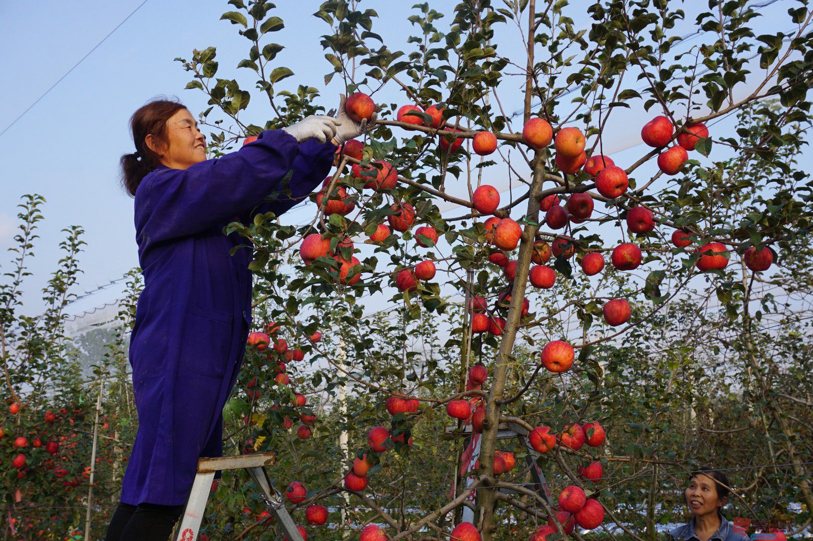 孙宏伟_20251024094401_49_469 (11).jpg